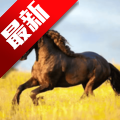 你的电视TV新版软件(YOUR TV)v2.4.0 安卓版