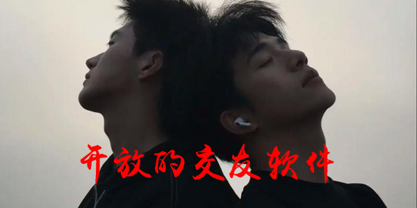 开放的交友软件