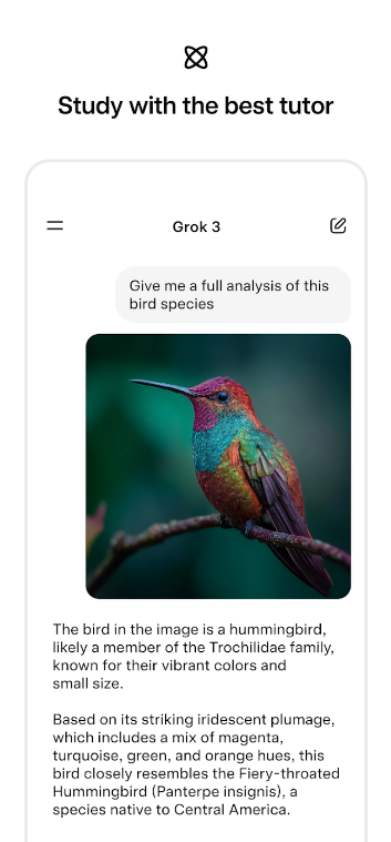 grok4手机版v1.2.17 最新版截图2