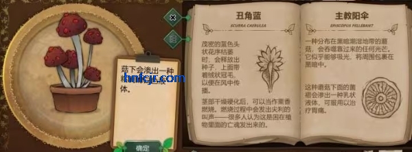 奇异园艺手游最新版 奇异园艺手游最新版
