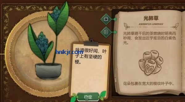 奇异园艺手游最新版 奇异园艺手游最新版