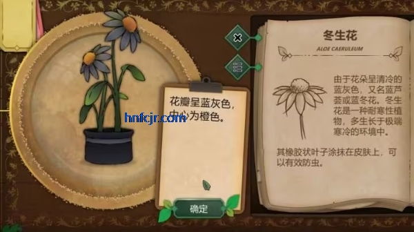 奇异园艺手游最新版 奇异园艺手游最新版