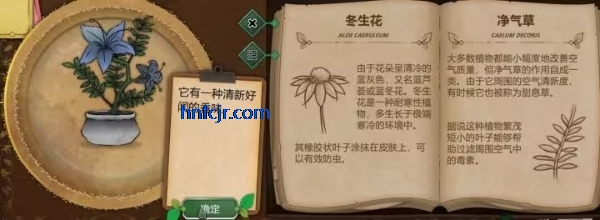 奇异园艺手游最新版 奇异园艺手游最新版