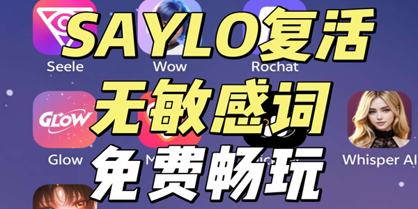 saylo聊天软件版本大全