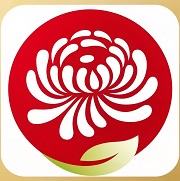 菊花直播免费版v2026.03.27 安卓版